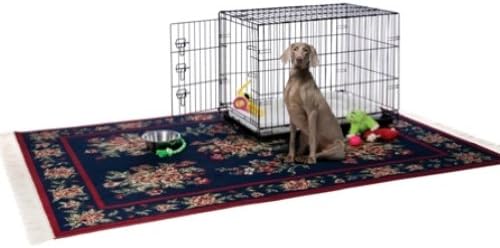 Prevue Pet Products Home On-The-Go Single Door Dog Crate Indoor - M, Black | Medium Collapsible Dog Cage for Travel, and Outdoor Use, Foldable Kennel Design, Deep Plastic Pan