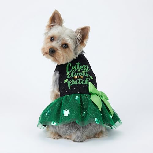 Fitwarm Cutest Clover in the Patch Dog Dress, St Patricks Day Dog Clothes for Small Dogs Girl, Funny Pet Cat Holiday Outfit, Black, Emerald Green, Medium