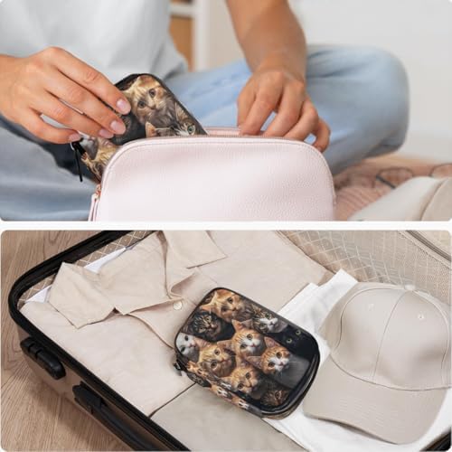 Pill Organizer Box pet cat Cute 7-Day Weekly Medicine Pill Case Travel Pill Container Portable Pill Holder Storage Purse Bag Small Compact Size for Vitamin Supplement Birth Control