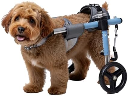 11-132lbs Doggy/cat Wheelchairs with Disabled Hind Legs Walking Adjustable Pet Mobility Cart Lightweight Aluminum Alloy Frame All Terrain Wheels