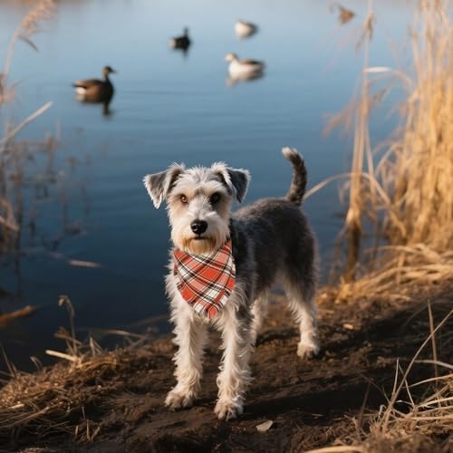 ADOGGYGO Fall Thanksgiving Dog Bandana, Autumn Plaid Dog Scarf, Small