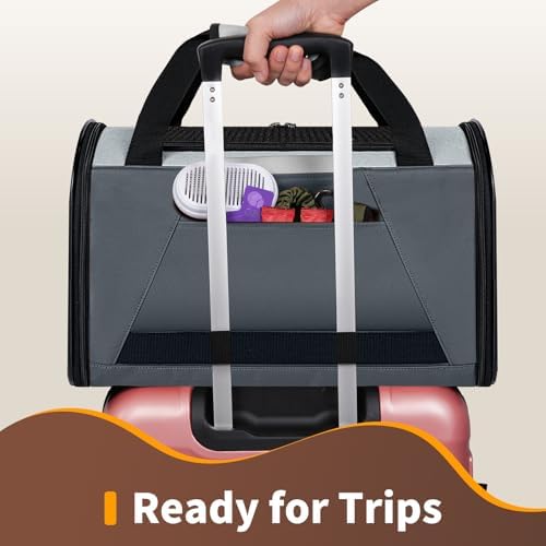 Collapsible Small Pet Carrier for Cat 15 lbs with Fashion Pocket Travel Bag | Lightweight Sturdy Little Puppy Dog Carry Crate, Breathable Stylish Kitten Soft Cage Kennel, Portable Yorkie Box Grey