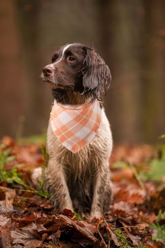 Fall Dog Bandana Autumn Thanksgiving Plaid Reversible Triangle Bibs Scarf