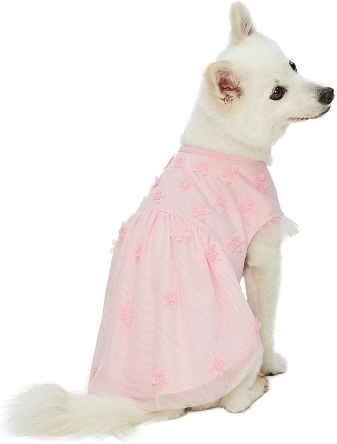 Blueberry Pet My Little Princess Dog Clothes - St Patricks Day Dress Girls, Baby Pink Dog Dress, Cat Dress, Dog Easter Dress, Girls Birthday Dress, Dress Up Clothes - 16" Back Length