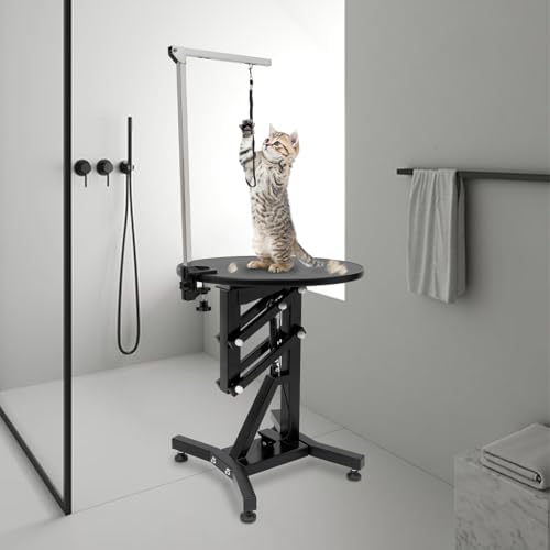 24" Lift Dog Grooming Table with Adjustable Overhead Arm & Tool Organizer | Rotating Pet Grooming Table | 110 Lbs Load Capacity | Adjustable Height 27.56-40.16in | For Small & Medium Pets