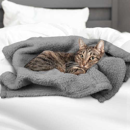 furrybaby Pet Blanket, Soft Warm Sherpa Fleece Bed Blanket for Small Pets