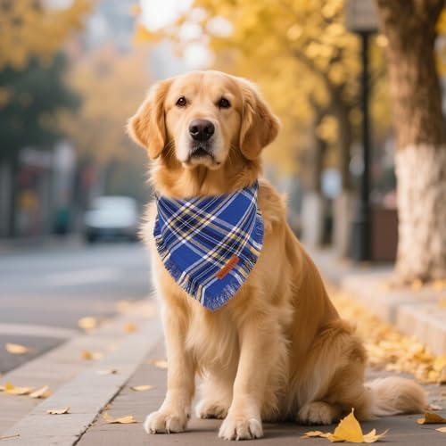ADOGGYGO Dog Bandana Boy, Blue Plaid Cotton Scarf with Fringe, X-Large