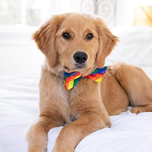 Huxley & Kent Pet Bow Tie for Dogs & Cats - PrideTheme Adjustable Hook & Loop Collar Accessory - Cute & Comfortable for Holidays & Celebrations - Pride Equality, Extra-Large | Hook & Loop Attaches to Any Collar, Soft Polyester, Lightweight & Machine Wa...