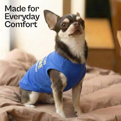 Parisian Pet Dog Tshirt - Embroidered “ Awesome “ Tank Top - Pure Cotton and Lightweight Dog Clothes - Blue Pet Vest - Sleeveless Tee Shirts for Small Dogs Boy