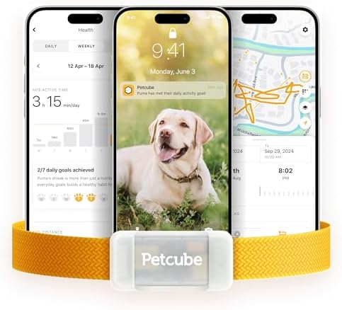 Petcube GPS Tracker for Dogs – Real-Time GPS Tracking & Escape Alerts