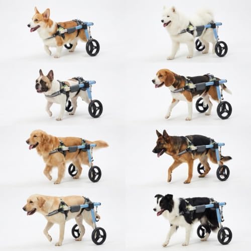 Foldable Dog Bike Trailer & Pet Wheelchair 5-60 Kg Adjustable 4 Wheel Dog Cart for Back Legs Lightweight Shock Absorbing Wheels, Mobility Aid for Disabled Small Medium Senior Dogs