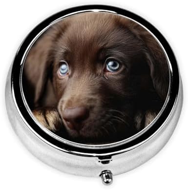 Pill Box 3 Compartment Medicine Pill Case for Pocket or Purse Mini Metal Pillcase Puppies Dog Pill Holder Vitamin Organizer Portable Travel Pills Container to Hold Supplements Vitamins