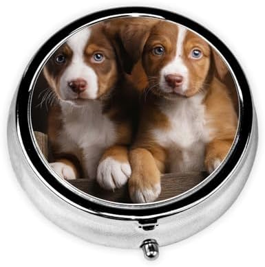 Pill Box 3 Compartment Medicine Pill Case for Pocket or Purse Mini Metal Pillcase Puppies Dogs Pets Animals Pill Holder Vitamin Organizer Portable Travel Pills Container to Hold Supplements Vitamins