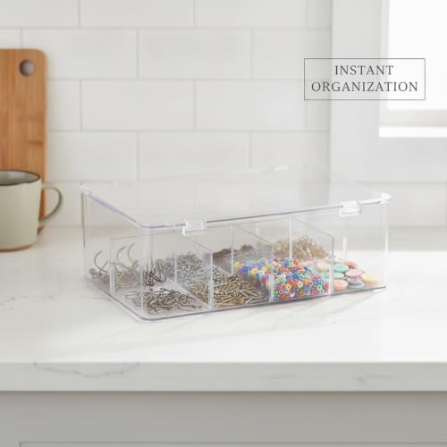 Lidded Storage Box with Removable Dividers, Clear PET Plastic Organizer Bin for Fishing Tackle, Craft Supplies, Hardware, Medium Size (1 PC)