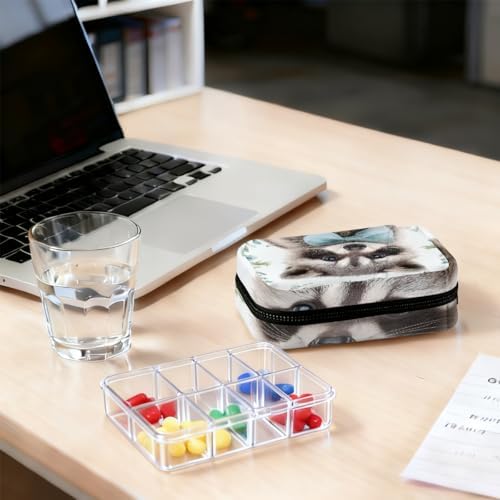 Weekly Pill Organizer Travel Size Bag with Removable 7 Day Pill Box Portable Vitamin Case Purse with Zipper,Raccoon Light Blue Bow