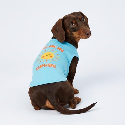 Fitwarm You are My Sunshine Dog Shirt, Tropical Summer Clothes for Small Dogs Boy Girl, Funny Pet Outfit, Blue, Yellow, Medium