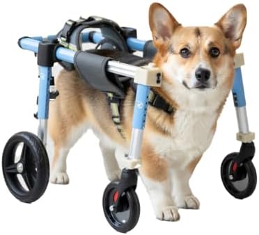 Paw Cart, Dog Wheelchair for Back Legs Pet Wheelchair Pet Mobility Support 4 Wheel Design, Aluminum Alloy Frame for Daily Walking Aid, Injury Recovery Support(Medium)