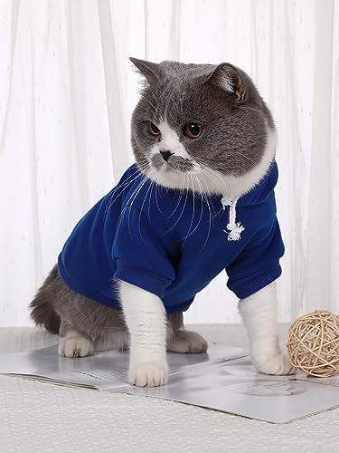 QWINEE Basic Dog Hoodie Sweatshirt Puppy Sweater Warm Cat Costumes Pet Clothes for Chihuahua Puppy Kitten Small Medium Dogs Royal Blue X-Large