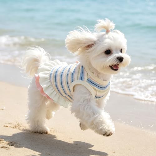 Striped Small Dog Dress Cute Pink Girl Dogs Cats Clothes, Blue XL