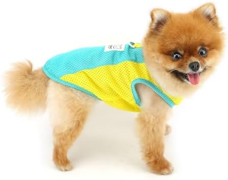 PAIDEFUL Mesh Tank Top for Small Dogs, Green, XL