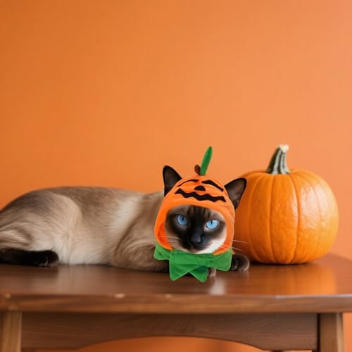 Cat Halloween Pumpkin Hat Dog Pumpkin Costume Pet Headwear