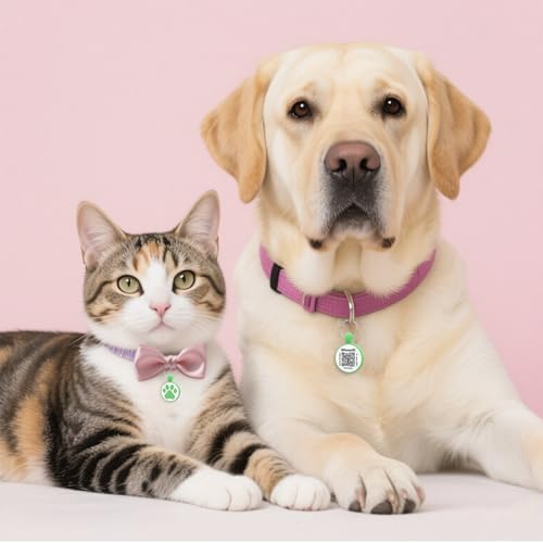 Personalized Dog Tag, Laser Engraving QR Code, Silicone Dog ID Tag, Pet Online Profile, Scan QR Code Send Location, Collar Harness Accessories (Medium to Large Breeds - 1.25", Green)