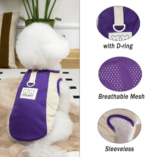 PAIDEFUL Mesh Tank Top for Small Dogs, Purple, XL