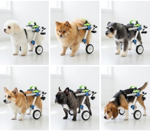 Pet Trailer Dog Bicycle Trailer Paw Cart Durable Aluminum Frame with Soft Abdominal Support Harness for Outdoor Walking Travel & Disabled Pet Mobility Support
