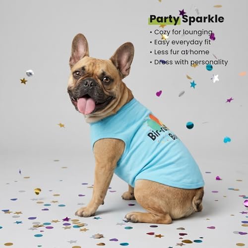 Fitwarm Birthday Boy Dog Shirt, Bir-Ruff-Day Boy Funny Dog Clothes for Small Dogs Boy, Pet Birthday Outfit, Cat Tshirt, 100% Breathable Cotton, Aqua Blue, XXL