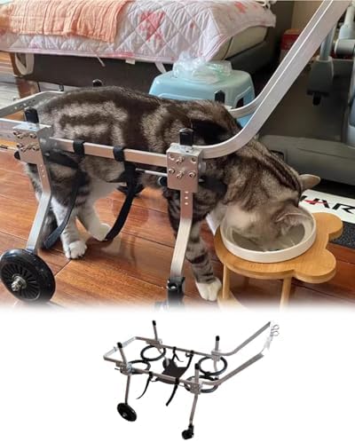 Dog Wheelchair Full Support Disabled Cat Wheelchair with Handle, 4 Wheels Dog Recovery for Front Legs/Back Legs, Comfortable Protect Chest Pet Walker Cart(XS)