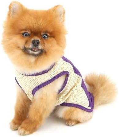 PAIDEFUL Mesh Tank Top for Small Dogs, Purple, L