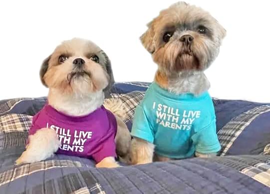 Cute Dog Clothes, T Shirt for Medium and Small Dogs Girl Boy,Puppy.Breathable Soft Dog Costume for Pet Dogs Cats, Pet Pullover Jumper, Cat Clothes (S-(4~8lb), Chest~14",Aqua)