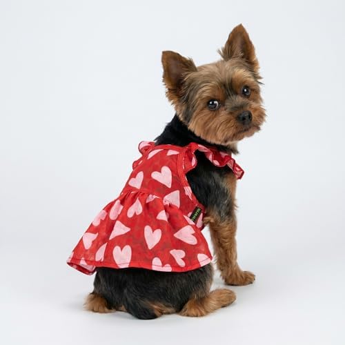 Fitwarm Valentine's Day Sweet Heart Dog Dress, Dog Holiday Outfit, Red, Pink, Medium