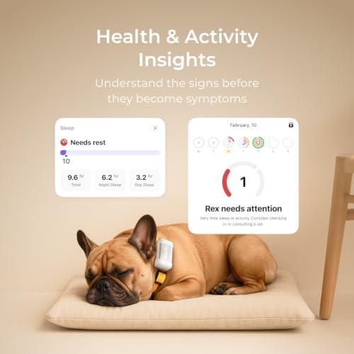 Petcube GPS Tracker for Dogs – Real-Time GPS Tracking & Escape Alerts