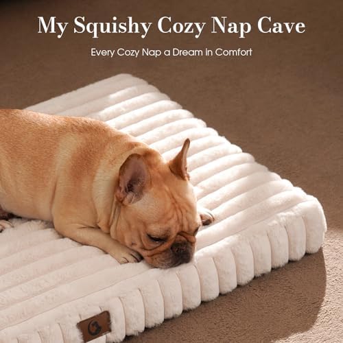 Dog Beds for Large Sized Dog, Orthopedic Foam with Waterproof Lining | Egg crate foam for joint support. Soft plush surface. Non-slip bottom. Removable & machine washable cover. OEKO-TEX certified