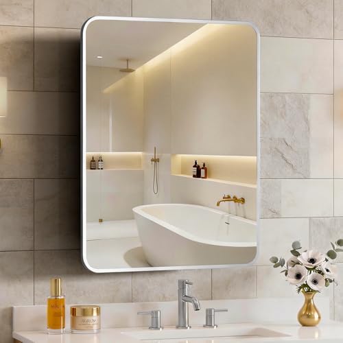 ACEMIRO 24x30 Inch Bathroom Medicine Cabinet with Mirror Metal Framed Recessed or Wall Mounted Mirror Medicine Cabinets for Bathroom Brushed Silver