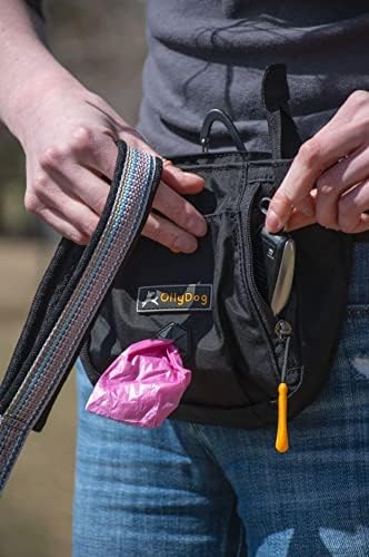 OllyDog Backcountry Day Bag | Hands-Free Dog Training Treat Pouch | Fanny/Hip Pack with Zipper Closure & Built-in Poop Bag Dispenser | Removable Waist Clip (Raven)