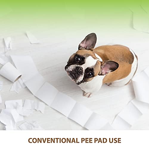 BANU Puppy Pee Pad Holder Indoor Outdoor Dog Potty Toilet Training Tray 20" x 16" for Small and Medium Dogs (Ivory) | Dog Pee Pad Tray, Puppy Training Pad Tray, Indoor Outdoor, Small dogs Medium Dogs Puppy Training Pad Holder