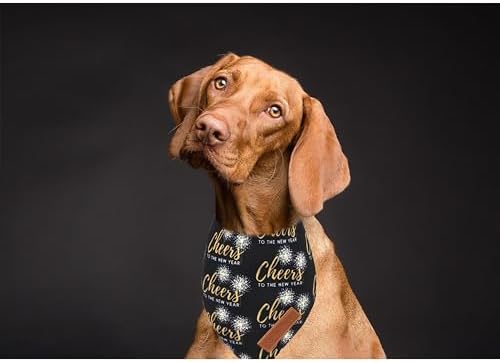 Realeaf New Year Dog Bandanas 2 Pack, Cheers to The New Year Dog Scarf for Boy and Girl, Premium Durable Fabric, Holiday Bandana for Small and Medium Dogs Cats Pets (Small)