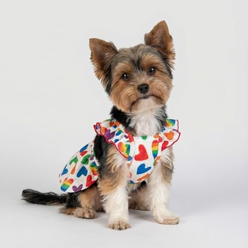 Fitwarm Colorful Heart Dog Dress, Summer Clothes for Small Dogs Girl, Cute Pet Rainbow Outfit, Red, Yellow, Blue, Green, White, Medium