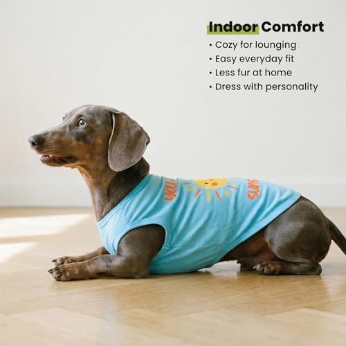 Fitwarm You are My Sunshine Dog Shirt, Tropical Summer Clothes for Small Dogs Boy Girl, Funny Pet Outfit, Blue, Yellow, Medium