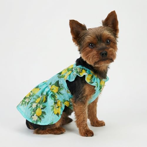 Fitwarm Lemon Dog Dress, Dog Clothes for Small Dogs Girl, Pet Cat Apparel, Teal Blue, Yellow, Green, Small
