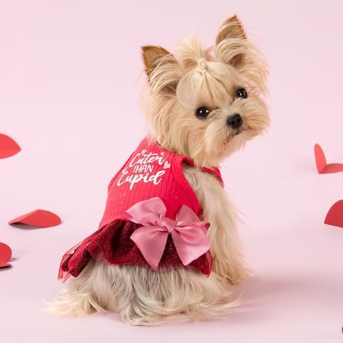Fitwarm Cuter Than Cupid Dog Tulle Dress, Cute Girl Dog Clothes, Funny Pet Apparel, Burgundy Red, Medium