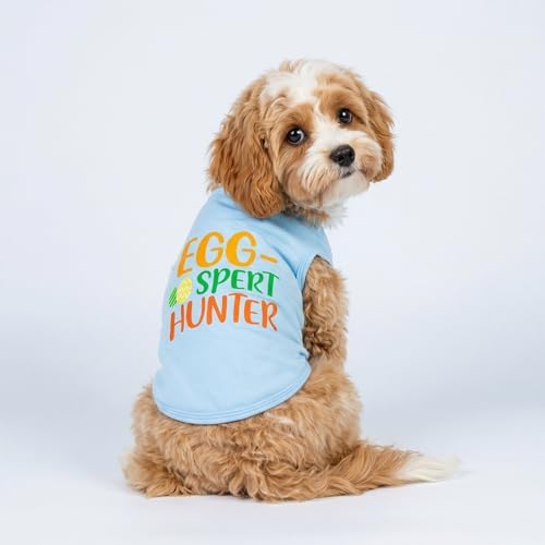 Fitwarm Egg-spert Hunter Dog Easter Outfit, Summer Clothes for Small Dogs Boy Girl, Pet Outfit, Blue, Red, Green, Orange, XL