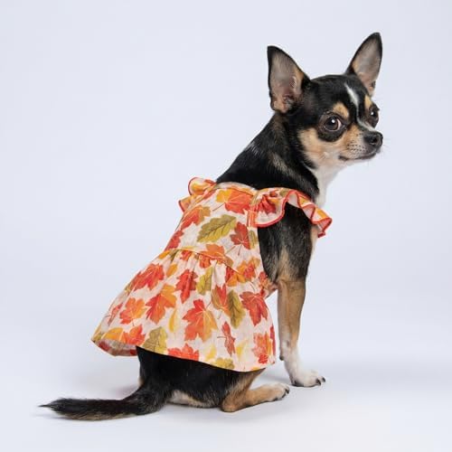 Fitwarm Maple Dog Dress, Ruffled Doggy Thanksgiving Dress, Fall Dog Clothes for Small Dogs Girl, Pet Outfit, Red, Orange, XS