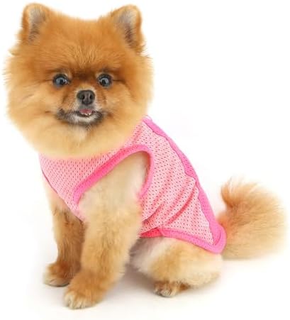 PAIDEFUL Mesh Tank Top for Small Dogs, Pink, L