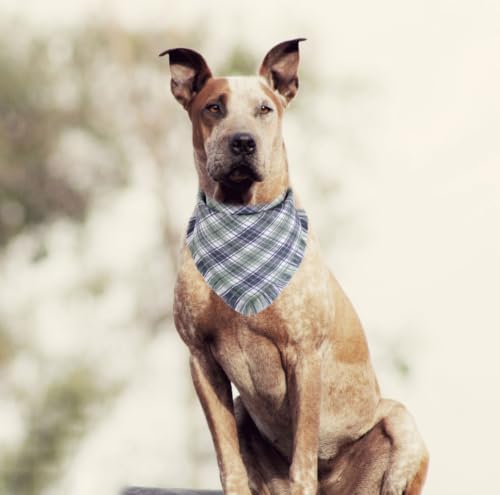 Fall Dog Bandana Autumn Thanksgiving Plaid Reversible Triangle Bibs Scarf