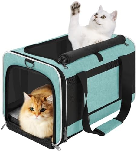 GAPZER Large Cat Carrier Soft, Collapsible Travel Pet Carry Bag, Small Dogs | Big Kitten Cat 20lbs Mainecoon, Top Open Travel Shih-Tzu Pet Kennel, Yorkie Small Dog 10 Pounds, 18x12x12, Durable Cloth Teal