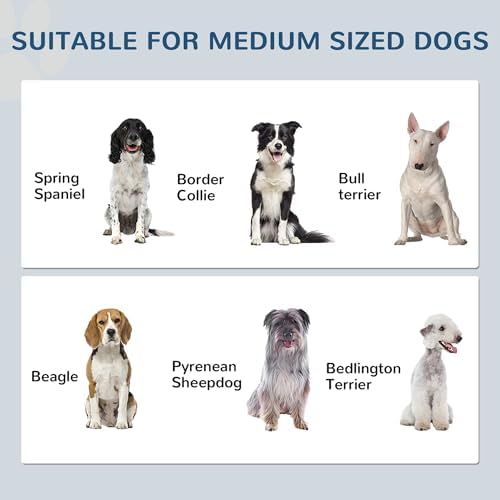 PawHut Pet Feeding Station Elevated Dog Bowls for Medium Sized Breed White