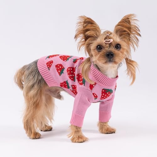 Fitwarm Adorable Strawberry Dog Sweater, Thermal Dog Winter Clothes for Small Dogs Girl, Pet Outfit, Pink, Red, White, Green, XS